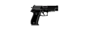 P226 Mk 25
